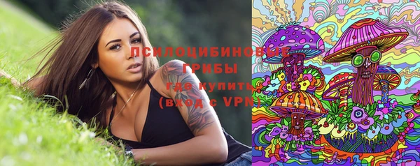 соль ск Заволжье